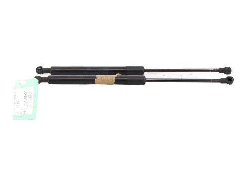 Hood lift support BMW 3 (E90) 320 d | BP29407520C139 