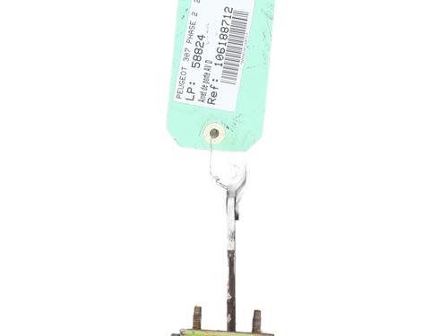 Hinge/Door check strap PEUGEOT 307 (3A/C) 2.0 HDi 135 | BP26034973C146 