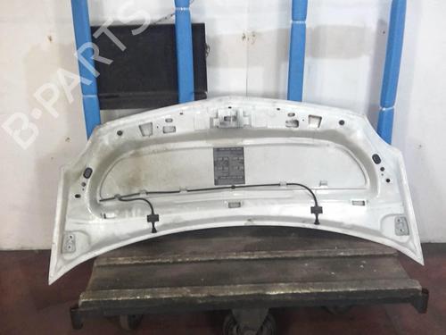 Hood RENAULT KANGOO Express (FW0/1_) 1.5 dCi 85 (FW0K, FW0L, FW0B) | BP20355495C1 