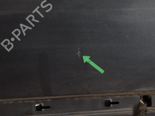 Right front door RENAULT CLIO III (BR0/1, CR0/1) 1.2 16V (BR02, BR0J, BR11, CR02, CR0J, CR11) | BP25223899C3 
