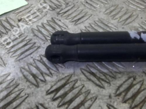 Tailgate lift support NISSAN MICRA III (K12) 1.5 dCi | BP20727373C138