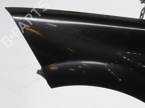 Left front fenders RENAULT MEGANE II (BM0/1_, CM0/1_) 1.9 dCi | BP24455114C41 