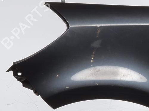 Left front fenders RENAULT CLIO III (BR0/1, CR0/1) 1.5 dCi (BR17, CR17) | BP26466424C41 