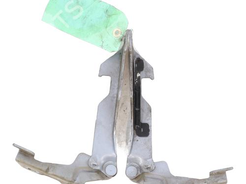 Hinge/Door check strap RENAULT CLIO II (BB_, CB_) 1.2 16V (BB05, BB0W, BB11, BB27, BB2T, BB2U, BB2V, CB05,... | BP29292019C146 