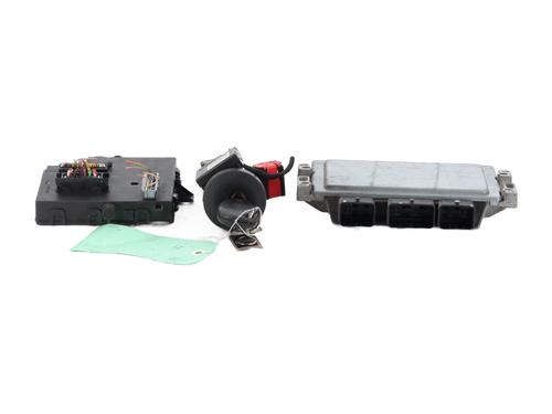 Elektronische module RENAULT TWINGO II (CN0_) 1.2 16V (CN04, CN0B) (75 hp) 28589666