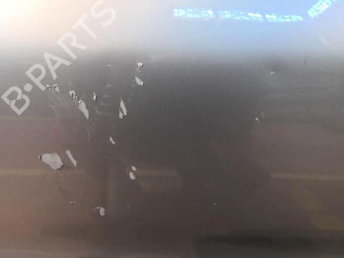 Left rear door PEUGEOT 206+ (2L_, 2M_) 1.4 HDi eco 70 | BP20358543C4 