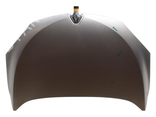 hood-renault-megane-iii-hatchback-bz01_-b3_-2008-27550749 main image