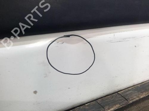 Right front door RENAULT MASTER II Van (FD) 2.2 dCI 90 | BP22004753C3 