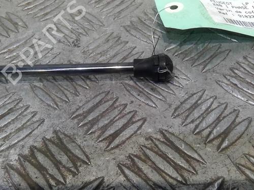 Used Tailgate lift support PEUGEOT 208 I (CA_, CC_) 1.4 HDi (68 hp) 20727479