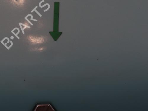 Used Hood Hood RENAULT TWINGO I (C06_) 1.2 (C066, C068) (58 hp) 25447838 25447838