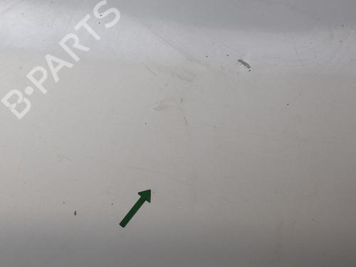 Hood FORD TRANSIT CONNECT (P65_, P70_, P80_) 1.8 TDCi | BP25276091C1 