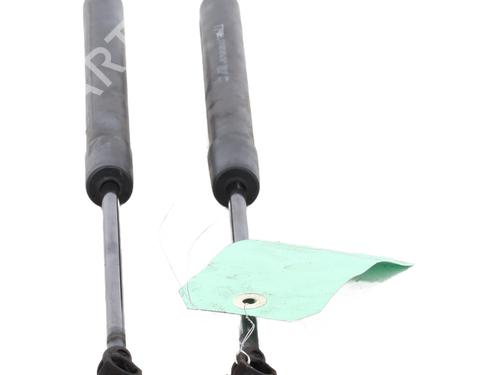Tailgate lift support PEUGEOT 308 I (4A_, 4C_) 2.0 HDi | BP29492987C138 