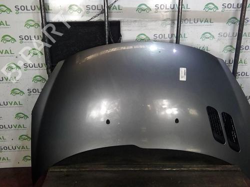 Used Hood PEUGEOT 206+ (2L_, 2M_) 1.1 (60 hp) 22002771