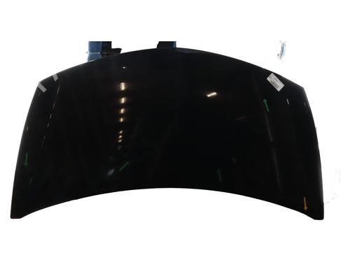 Used Hood RENAULT CLIO III Grandtour (KR0/1_) 1.5 dCi (KR0F) (86 hp) 27304921