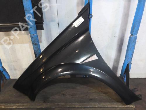 Left front fenders RENAULT MEGANE II Coupé-Cabriolet (EM0/1_) 1.6 | BP20350468C41 