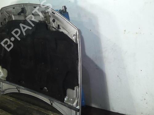 Hood PEUGEOT 406 (8B) 2.0 HDI 110 | BP20356860C1 