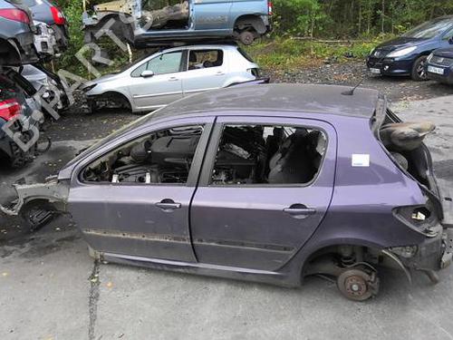 Elektronisk modul PEUGEOT 307 (3A/C) 2.0 HDi 110 | BP29291914M83 