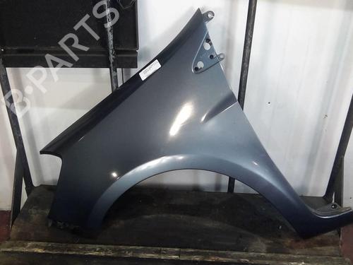Left front fenders RENAULT CLIO III (BR0/1, CR0/1) 1.5 dCi (BR17, CR17) | BP20360599C41 