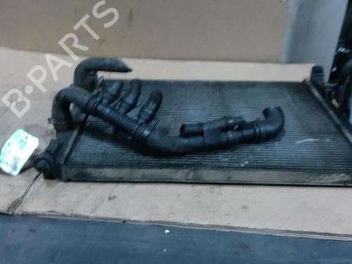 Køler RENAULT MEGANE II Coupé-Cabriolet (EM0/1_) 1.9 dCi (120 hp) 32321098