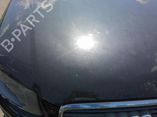 Front left door window AUDI A3 (8P1) 1.9 TDI | BP29196911C18 