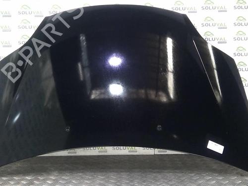Used Hood FIAT BRAVO II (198_) 1.6 D Multijet (198AXH1B) (105 hp) 22000734