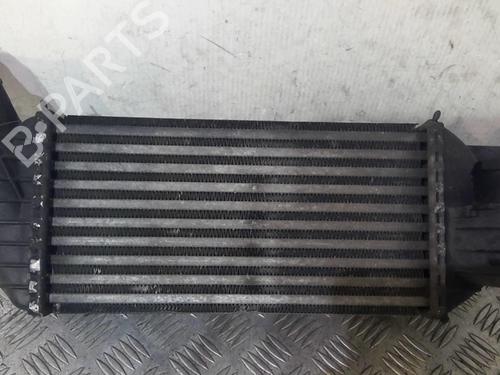 Oliekøler PEUGEOT RCZ 2.0 HDi (163 hp) 21572296