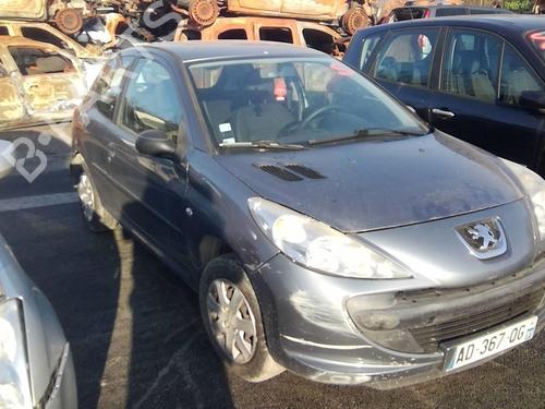 Left front door PEUGEOT 206+ (2L_, 2M_) 1.4 i (2LKFWA, 2MKFWA) | BP21116989C2 