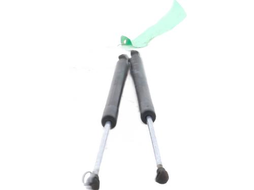 tailgate-lift-support-renault-clio-iii-br01-cr01-2005-2006-2007-2008-2009-2010-2011-2012-2013-2014-31287914 main image