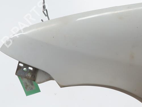 Błotnik przedni lewy RENAULT TWINGO I (C06_) 1.2 16V (C060) | BP29600455C41 