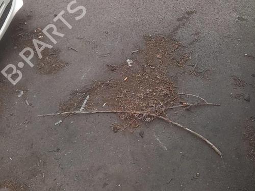 Engine VW UP! (121, 122, BL1, BL2, BL3, 123) 1.0 | BP20357998M1  - Image 9