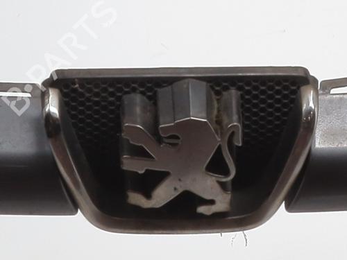 Grille PEUGEOT 206 Hatchback (2A/C) 1.4 HDi eco 70 | BP28966033C40 
