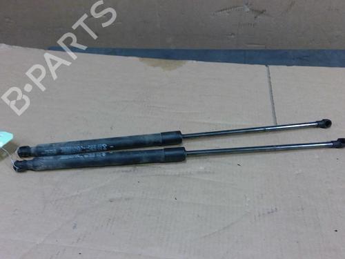 tailgate-lift-support-renault-arkana-i-lcm_-ldn_-2019-32150124 main image