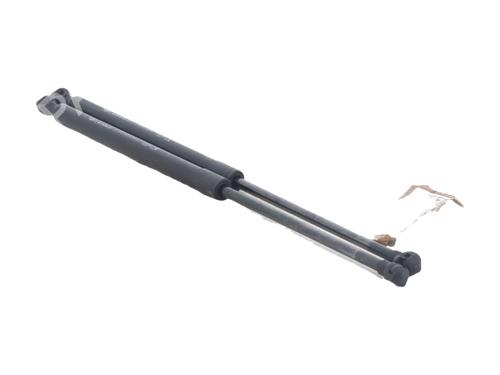 tailgate-lift-support-renault-megane-iv-hatchback-b9amn_-2015-39258265 main image