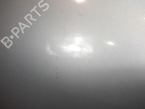 Right front door NISSAN MICRA III (K12) 1.5 dCi | BP20367385C3 