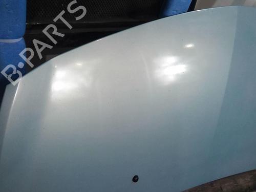 Hood RENAULT CLIO III (BR0/1, CR0/1) 1.5 dCi (C/BR0G, C/BR1G) | BP20369413C1 