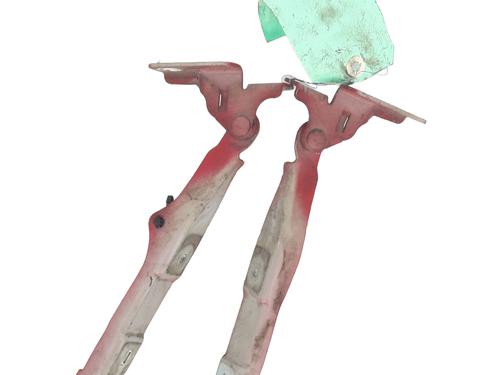 hingedoor-check-strap-citroen-c3-ii-sc_-2009-31723755 main image