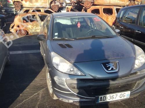Left front door PEUGEOT 206+ (2L_, 2M_) 1.4 i (2LKFWA, 2MKFWA) | BP21116989C2 