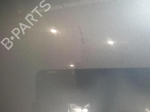 Used Hood Hood CITROËN C6 (TD_) 2.2 HDi (170 hp) 20362407 20362407