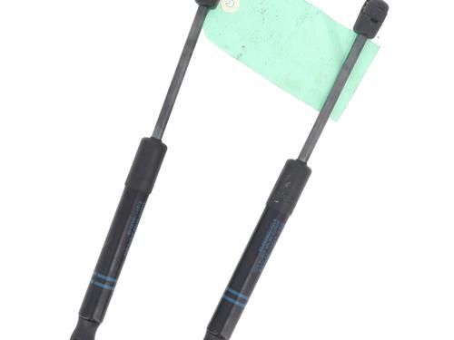 hood-lift-support-bmw-1-f21-2011-2012-2013-2014-2015-2016-2017-2018-2019-30261788 main image