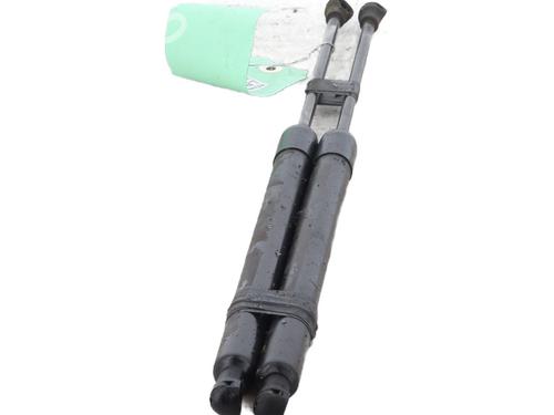 Used Tailgate lift support RENAULT SCÉNIC III (JZ0/1_) 1.5 dCi (110 hp) 25447727