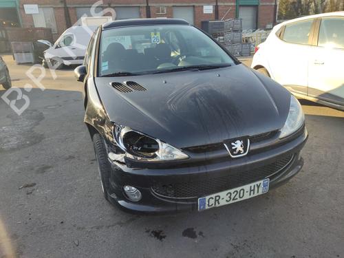 Left front door PEUGEOT 206 Hatchback (2A/C) 1.4 HDi eco 70 | BP25844585C2 
