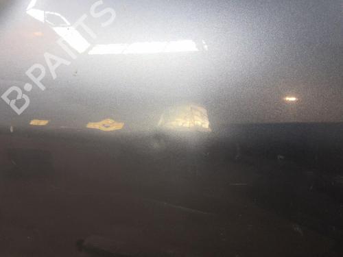 Left front door PEUGEOT 206+ (2L_, 2M_) 1.4 i (2LKFWA, 2MKFWA) | BP21116989C2 