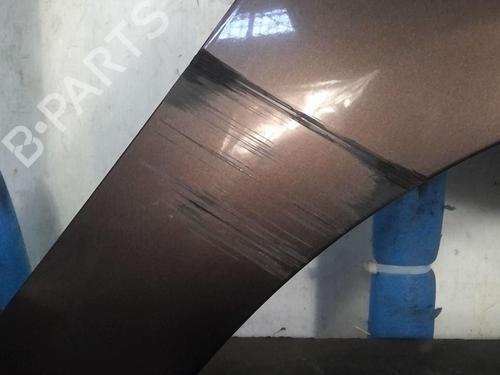 Right front fenders RENAULT SCÉNIC III (JZ0/1_) 1.9 dCi (JZ0J, JZ1J, JZ1K, JZ1S) | BP20365881C42 