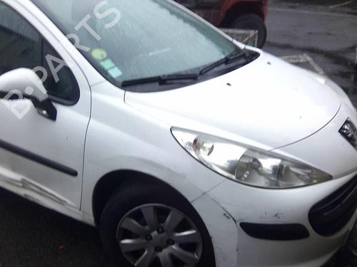 Tailgate PEUGEOT 207 (WA_, WC_) 1.4 16V | BP22002689C6 