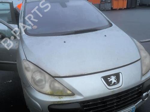 Door moulding trim PEUGEOT 307 (3A/C) 1.6 HDi 110 | BP24147268C150 