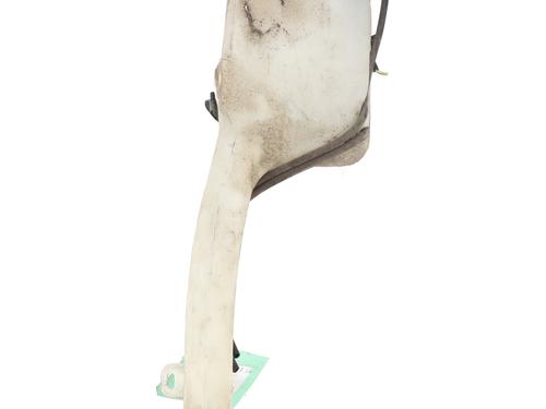 Windscreen washer tank FORD FIESTA V (JH_, JD_) 1.4 TDCi | BP28080223C113 