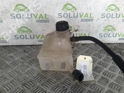 Used Expansion tank RENAULT MEGANE III Hatchback (BZ0/1_, B3_) 1.5 dCi (BZ0C) (90 hp) 22001786