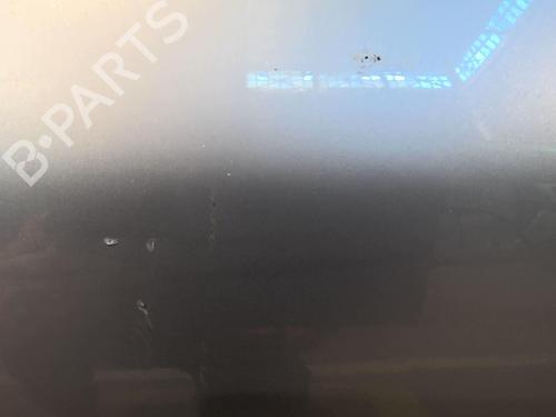 Left rear door PEUGEOT 206+ (2L_, 2M_) 1.4 HDi eco 70 | BP20358543C4 