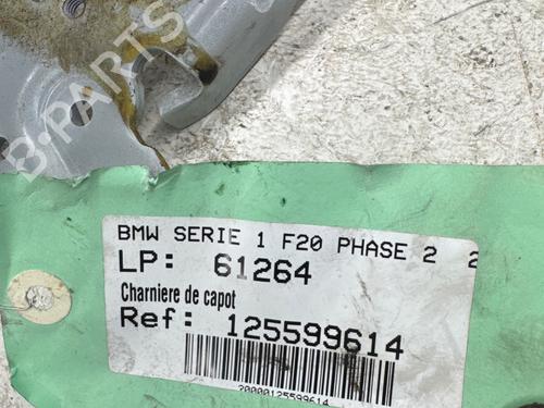 Used Hinge/Door check strap Hinge/Door check strap 36850810 36850810