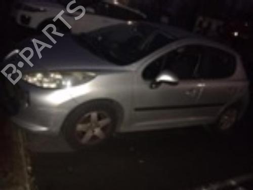 Left rear door PEUGEOT 207 (WA_, WC_) 1.4 HDi | BP20352551C4 